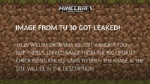 Minecraft Console: IMAGE FROM BIG UPDATE (TU 30) LEAKED! (Xbox 360, Xbox One, PS3, PS4, PS Vita)