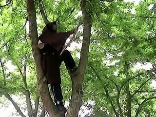 Le talisman -  Prologue - Partie I .