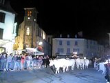 Transhumance - Laruns, Vallee d'Ossau, Pyrenees, France