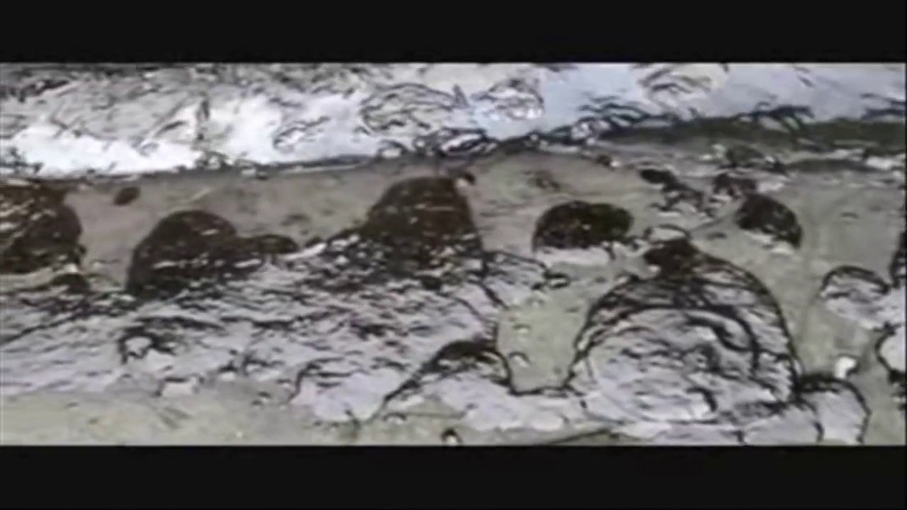 Dead Kennedys - Moon Over Marin