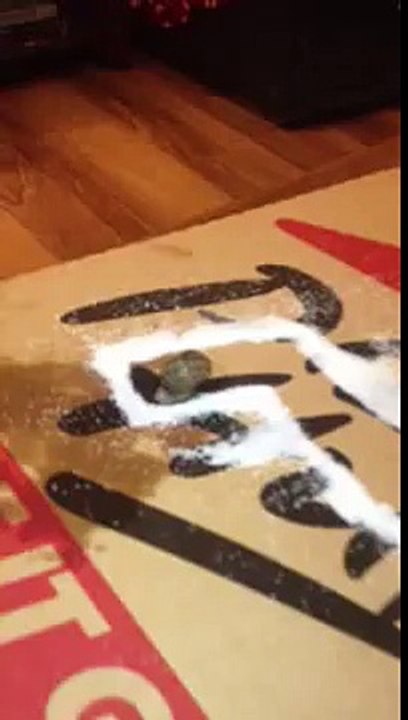 Salt maze for a snail