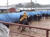 Missouri Foxtrotting Horse Cutting Horse Competition