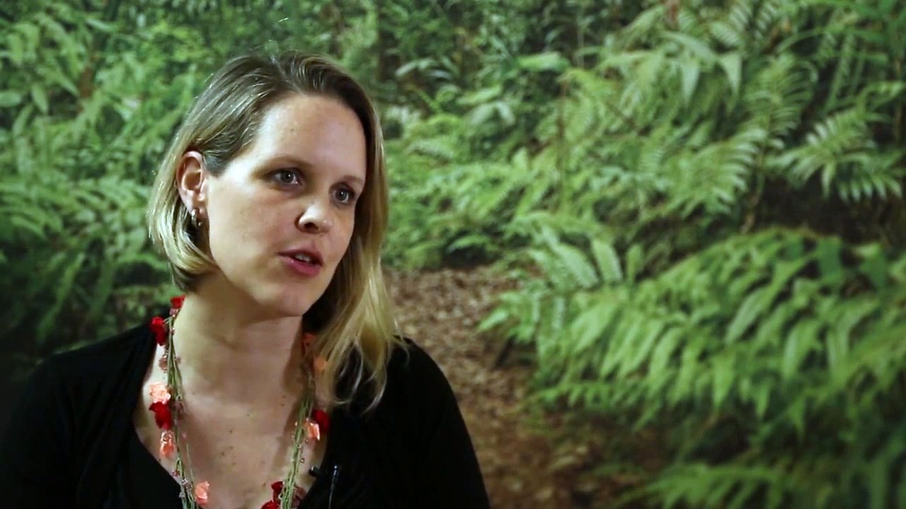 Amy Duchelle on REDD+ safeguards