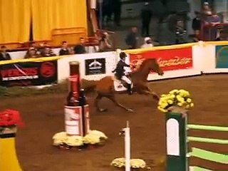 Penn Nat Horse Show: Laura Chapot in the Grand Prix