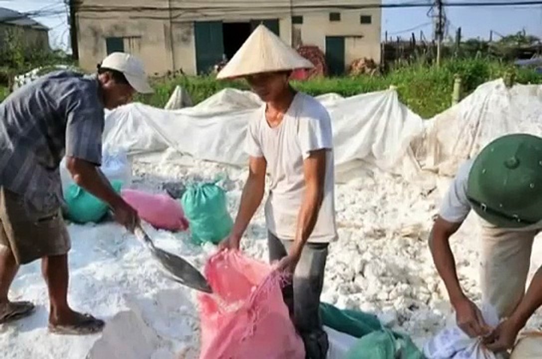 Agricultura Eco-eficiente para Reducir la Pobreza