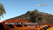 Montería en Valdelinces: 82 cochinos, 9 venados y 8 muflones