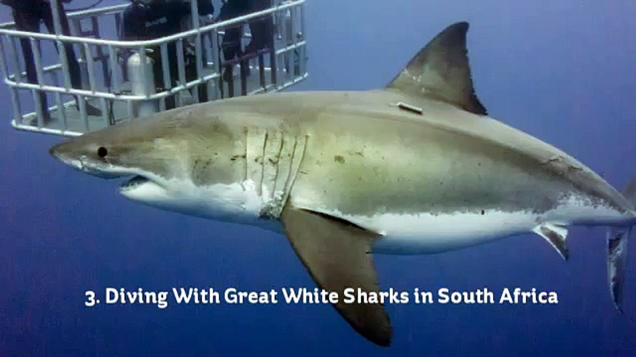 10 INCREDIBLE THRILL SEEKING ADVENTURES TO DO A...