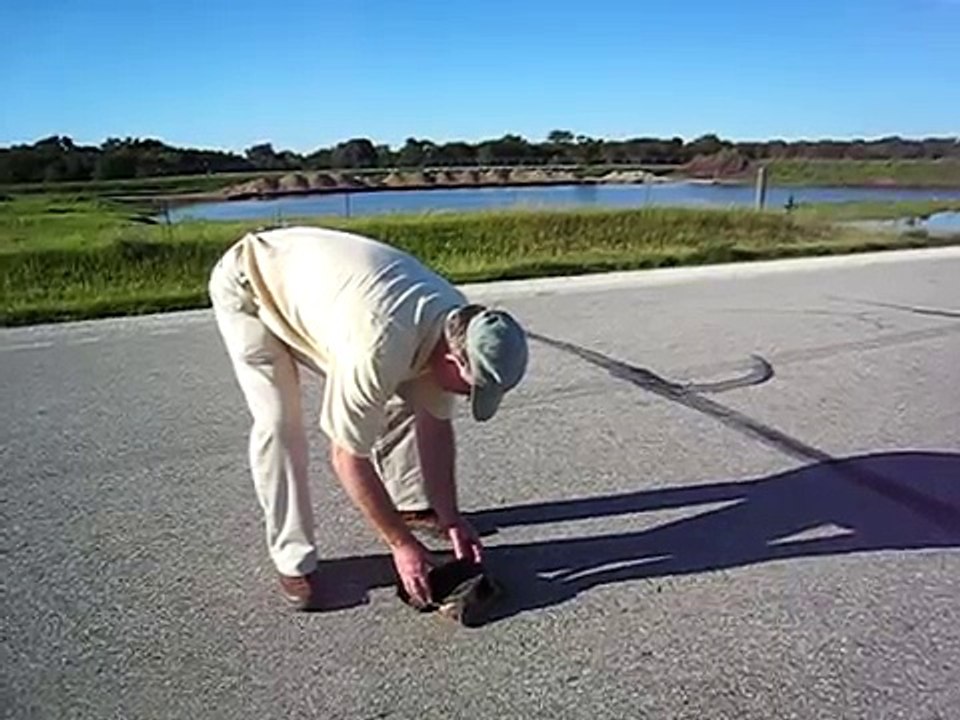 David "rescues" a Snapping Turtle!