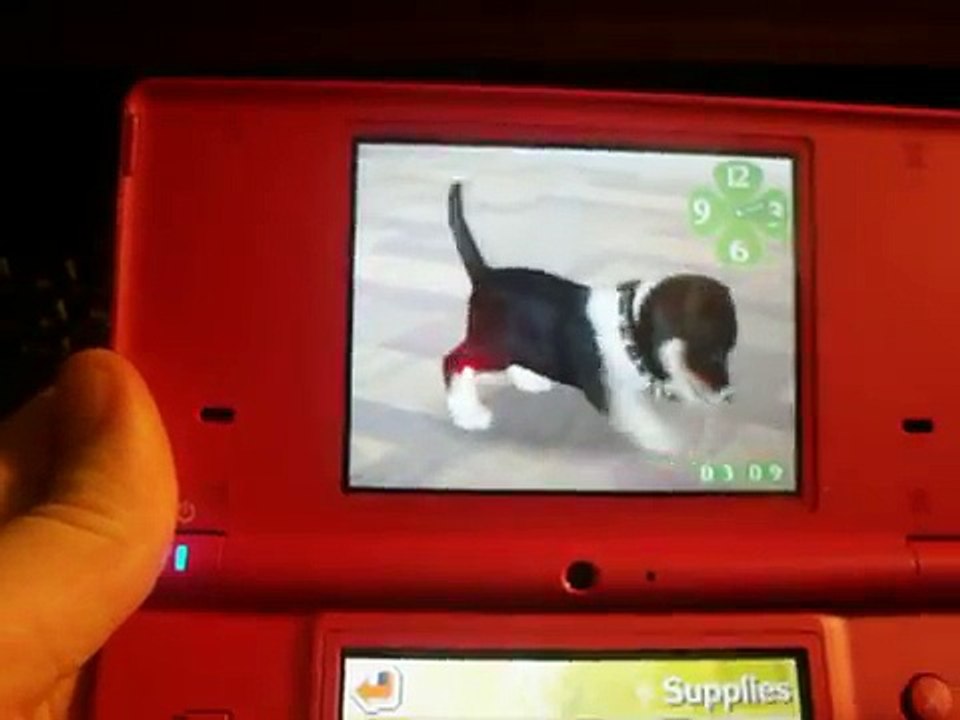 How To Get Your Nintendogs To Breed