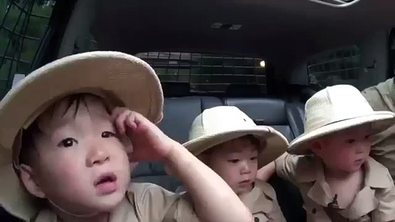 Daehan Minguk Manse go to the zoo