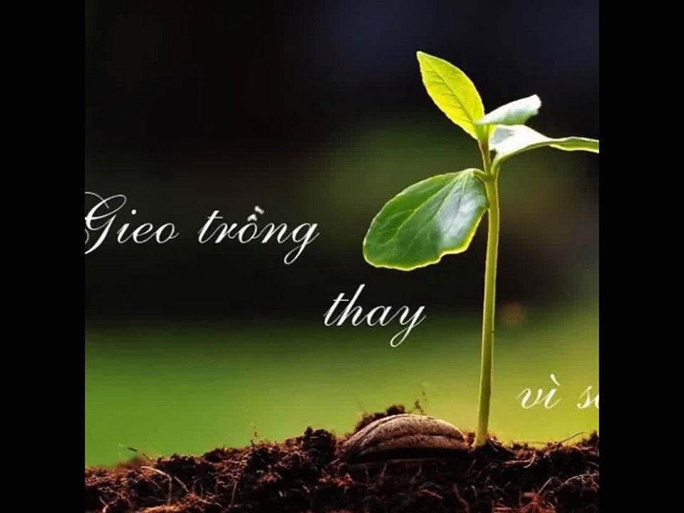 Trình chiếu của tôi