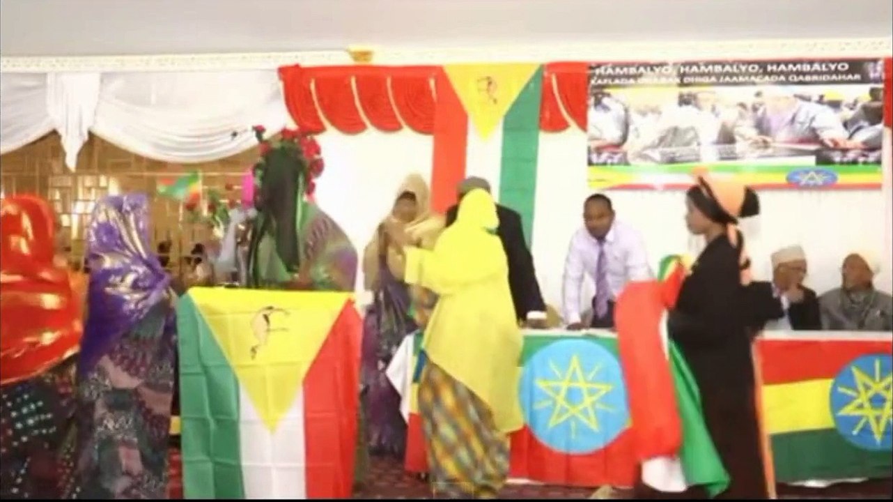 Hees Maryan Mursal DDSI