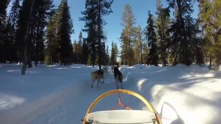 Lapland 2015 (short)