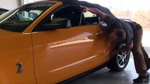 Extreme Paintless Dent Repair by Dent Pro Upstate, LLC