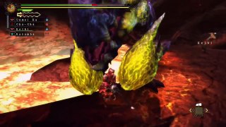 Monster Hunter 3 Ultimate Online Session (11)