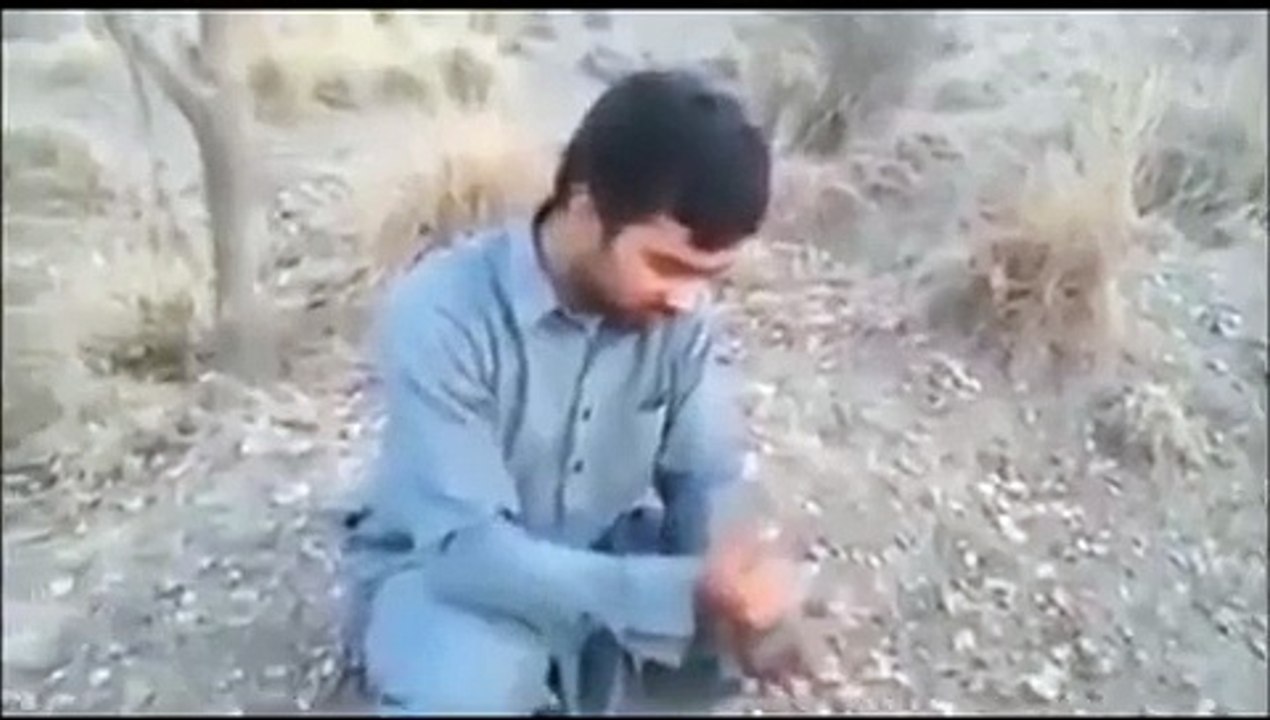 funny pathan in action