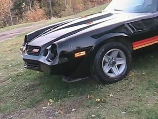 My Dog and My Camaro!!