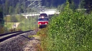 Finnish Intercity 83 passed Pertti level crossing and Niemisjärvi ex railway station
