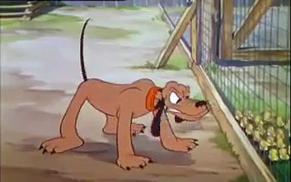 Walts disney. Silly Symphonies papa pluto