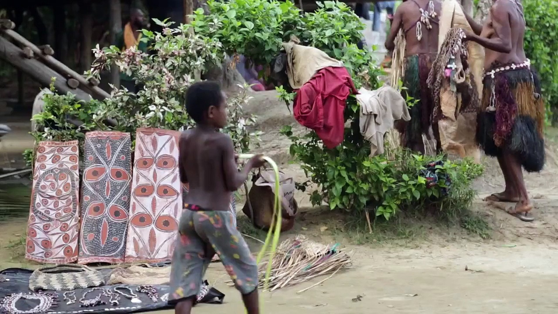 USTOA Travel Together: Explore Papua New Guinea's Lowland Rainforest Region with Swain Destinat