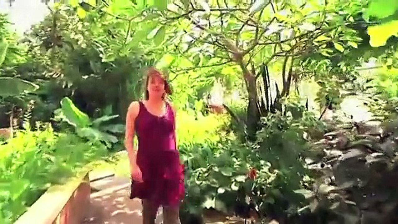 Pourvu que ça dure : L'esclavage des enfants dans le cacao