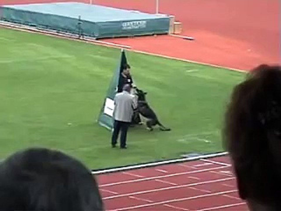 Uruk vom schwarzen Milan BSP 2006