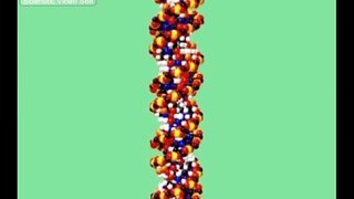 Re: Dna Molecular Biology Visualizations - Wrapping And Repl