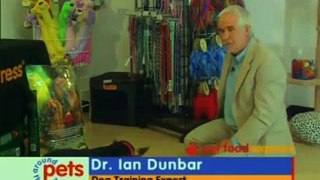 Dr. Ian Dunbar dog training expert teaching your pet with three commands