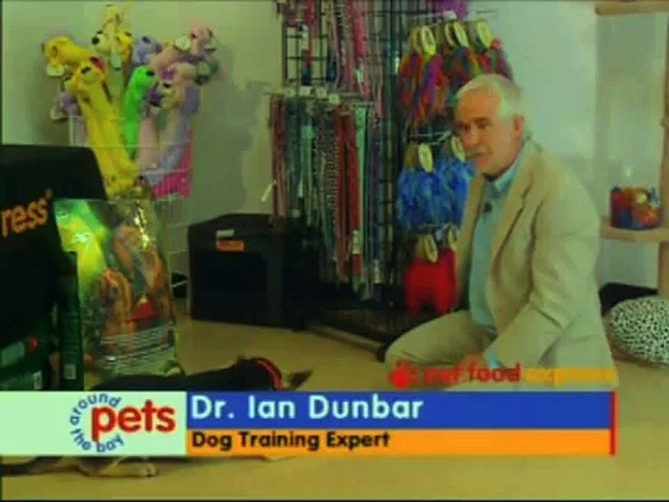 Dr. Ian Dunbar dog training expert teaching your pet with three commands