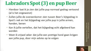Bert van Laar - bijtende pup
