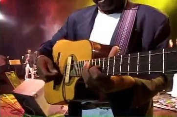 Semilla de Caña Brava