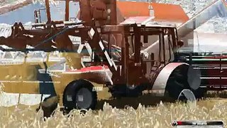 Landwirtschafts-simulator 2011 Małe żniwa Multiplayer Game