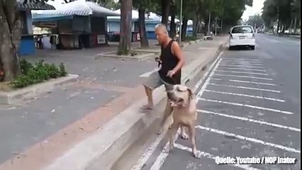 OMG this video must watch