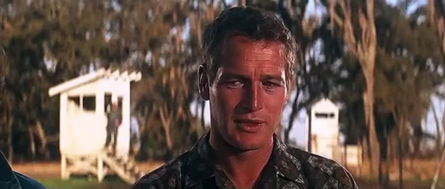Cool Hand Luke (1967) sample.Directed by Stuart Rosenberg