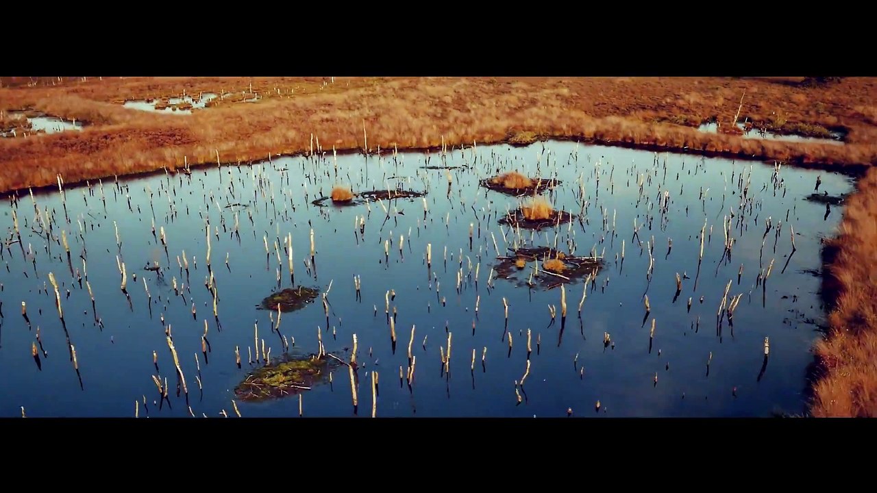 Timi Hendrix - Kaiser von China (Official Video) ► prod. by Sapient