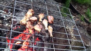 Animal Sounds and Grilled Chicken