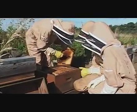 Cyrenians Farm Sowing Dreams (part 2)