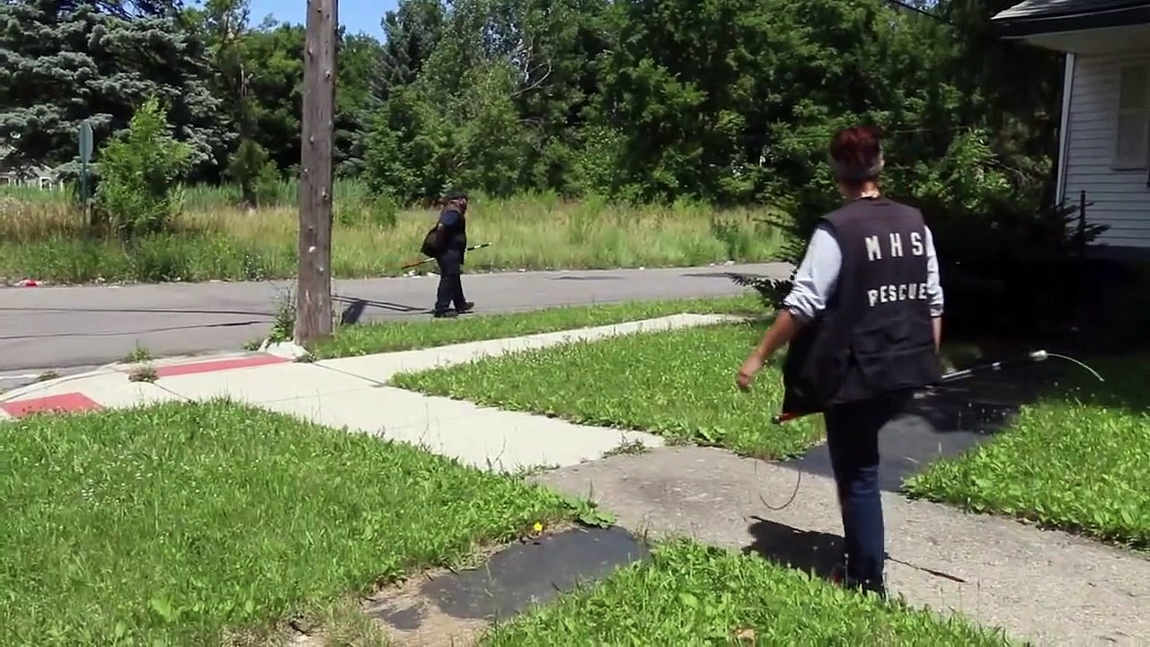 Four Puppies Rescued From Attic of an Abandoned House