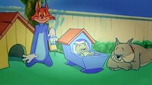 Tom And Jerry Hic Cup Pup HD Cartoon