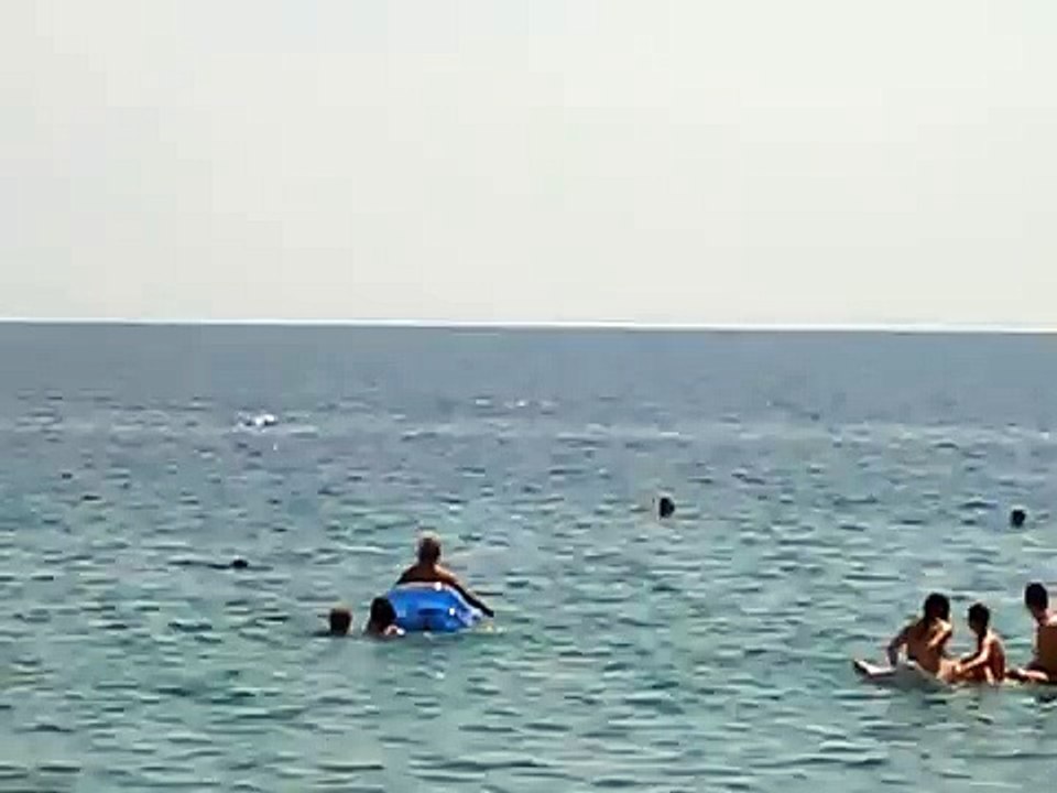 Nea Vrasna 2012 - delfini