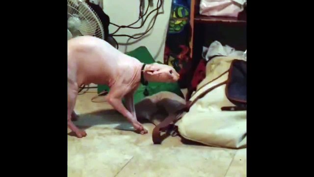 very creepy, disturbing children's cartoon, banned from TV