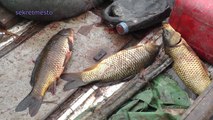 Часть 2 Путешествие на рыбалку  и адреналинистую подводную охоту на Балхаше