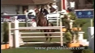 Show Jumping ft music by Fort Minor (FINAL VERSION)