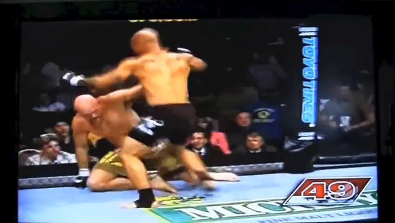 MMA Best Knockouts 2015