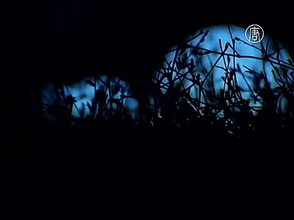 Светящаяся инсталляция украсила древние руины Рима