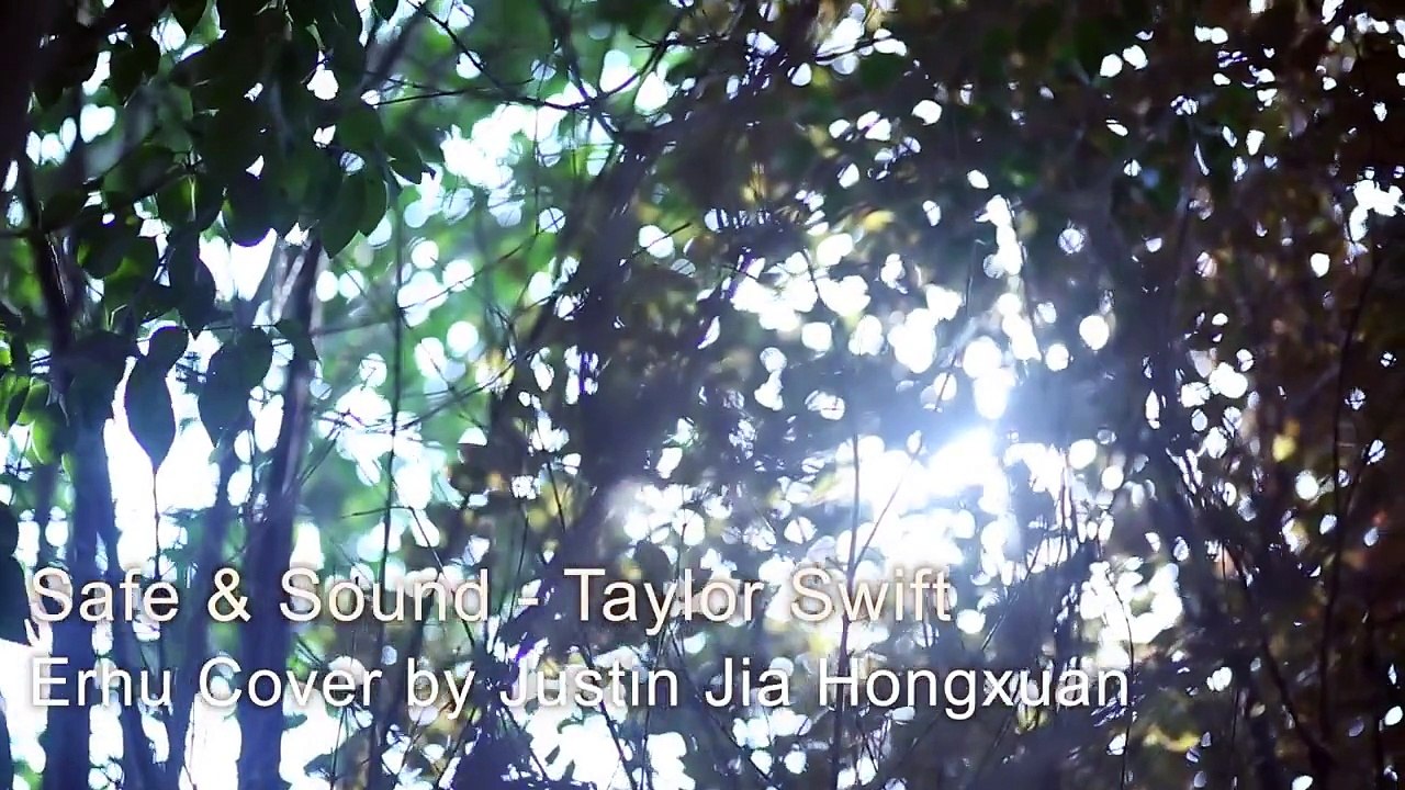 The Hunger Games: Safe & Sound Erhu Cover 《饥饿游戏：安然无恙》二胡版