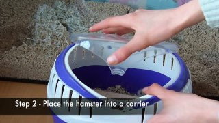 How To Clean a Hamster Cage
