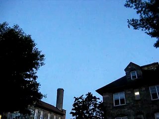 Swifts down chimney at Lees-McRae College