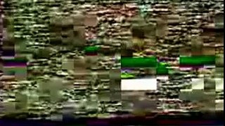 فيديو نادر للرئيس صدام حسين في الانبار