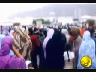 سيدي إفني 2008 "العهد الجديد"! 2
